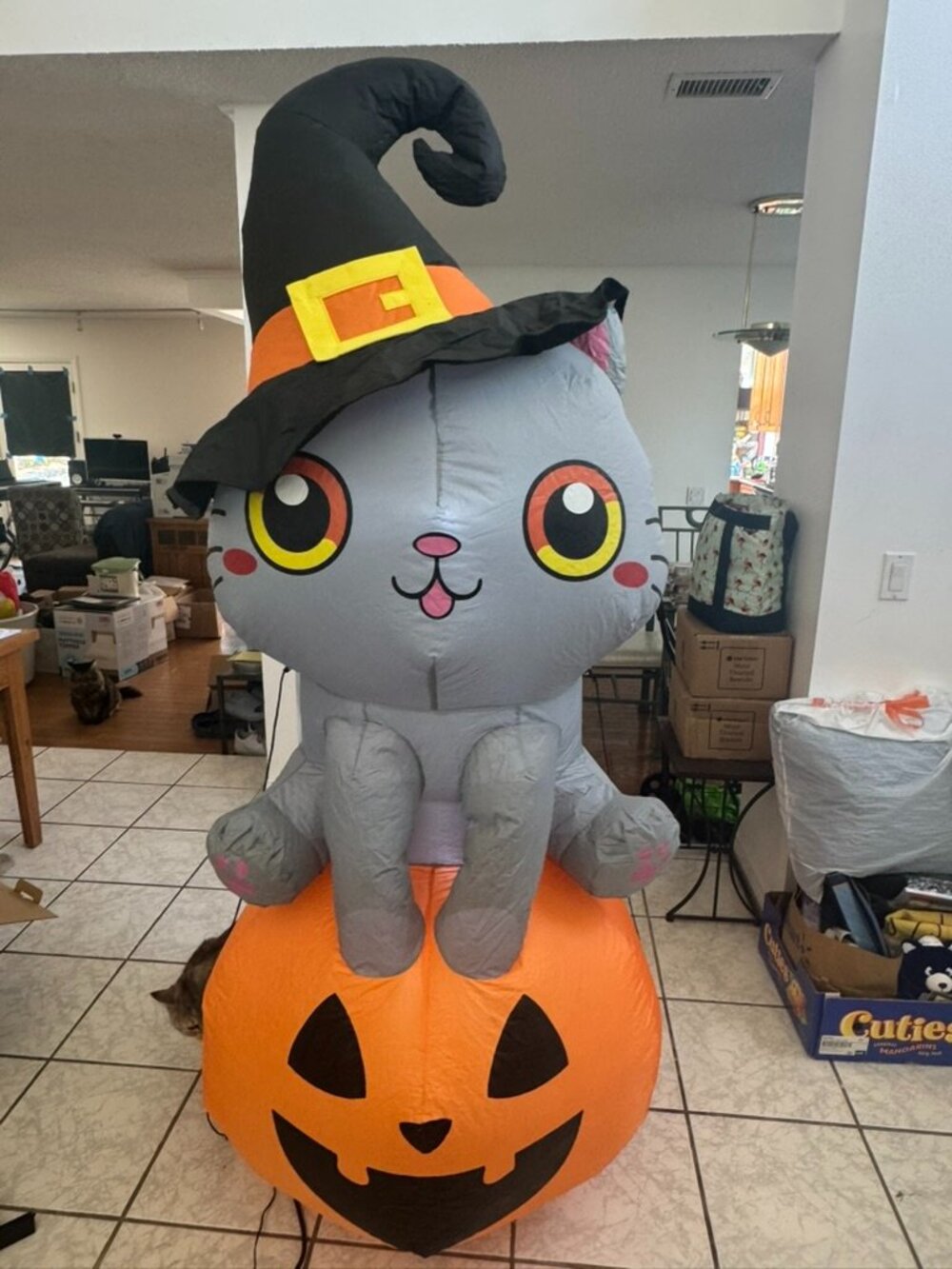 6ft GOOSH Halloween Inflatable Cat On A Pumpkin